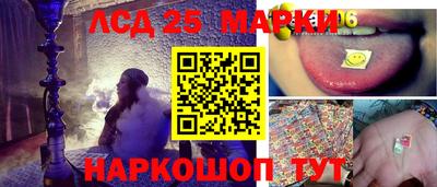 гидропоника Новодвинск