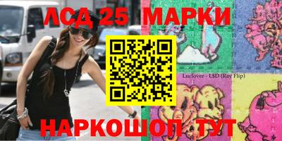 гидропоника Новодвинск