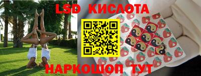 гидропоника Новодвинск