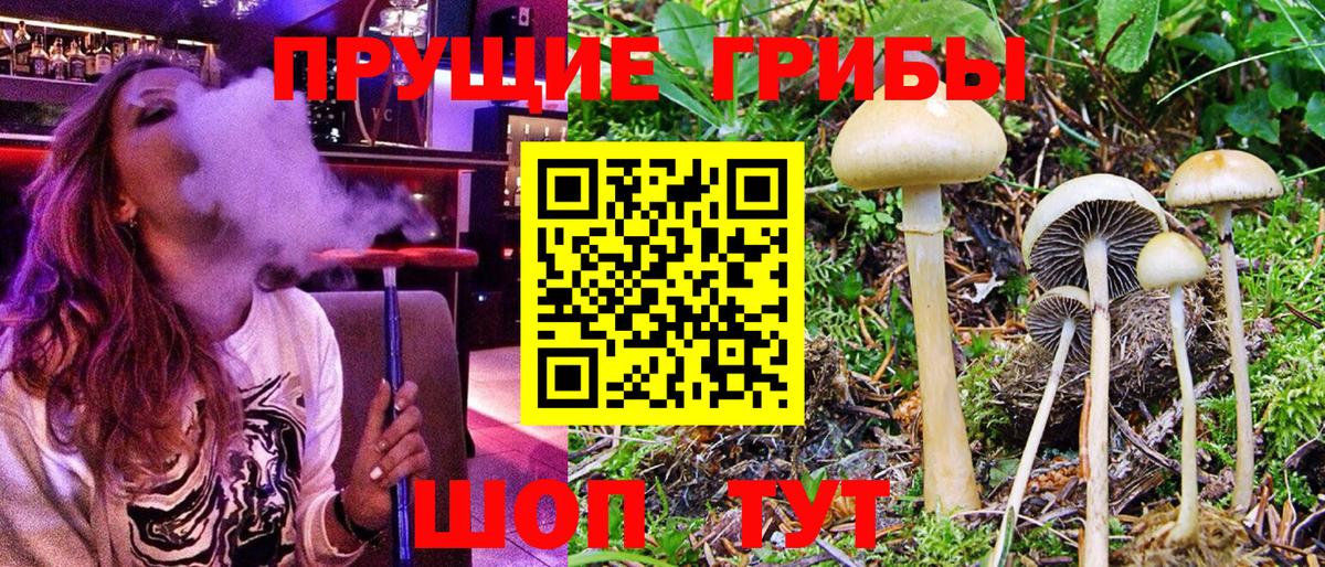 Галлюциногенные грибы Cubensis  даркнет сайт  Тавда  Вход с VPN  Галлюциногенные грибы Psilocybine cubensis 